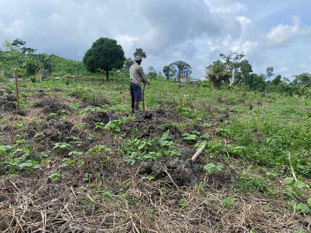 Farm land available