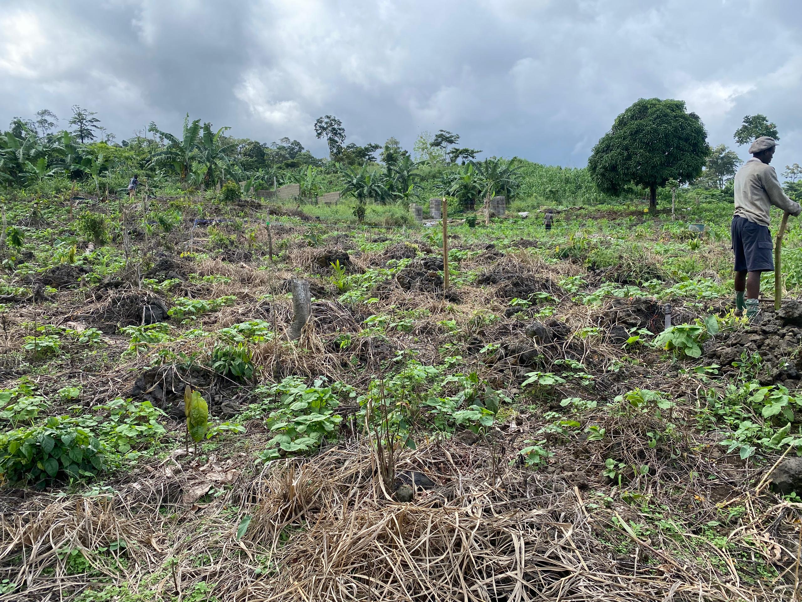 Lands available for sale